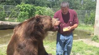 Jimbo and Leo eating honeycomb [upl. by Philoo]