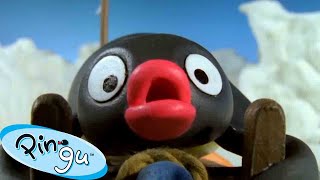 Pingu Gets Competitive 🐧  Pingu  Official Channel  Cartoons For Kids [upl. by Kiefer136]