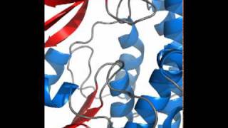 Active site of malonyl CoA  ACP transacylase MCAT [upl. by Teak295]