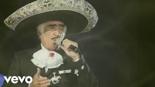 Vicente Fernández  Que De Raro Tiene Cover Audio La Leyenda Viviente Video [upl. by Aker]