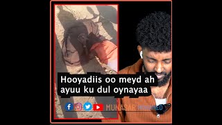 Hooyadiis oo meyd ah ayuu ku dul oynayaa halka Aabahan dada ahna uu garabka ku sido gabar meyd ah [upl. by Solracsiul411]