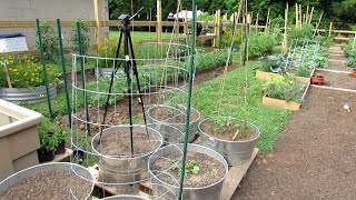 10 Trellising Options for Containers amp Earth Beds Tomatoes Cucumbers Squash Melons amp More [upl. by Basilio39]