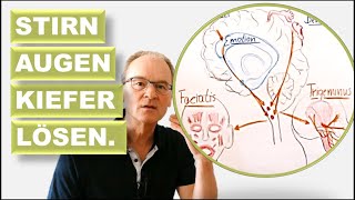 Stirn Augen Kiefer lösen 3 min Gehirnforschung und 5 min Praxis für entspanntere Gesichtszüge [upl. by Nysilla]