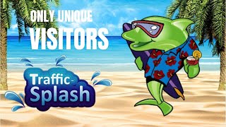 TrafficSplash Review  Quality Hits to Your URL [upl. by Kinchen]