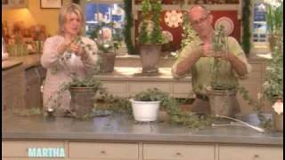 Ivy Topiaries ⎢Martha Stewart [upl. by Mcevoy971]