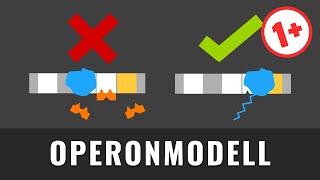 Operon Modell  Genregulation durch Substratinduktion und Endproduktrepression einfach erklärt [upl. by Eednarb310]