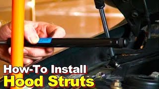 How To Install Hood Struts [upl. by Hcone677]