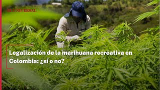 Legalización de la marihuana recreativa en Colombia ¿sí o no [upl. by Armillia101]