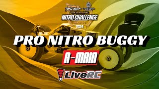 Pro Nitro Buggy AMain  2024 Dirt Nitro Challenge [upl. by Yule]