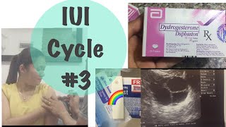 IUI DAY  IUI 3rd cycle  Femara and Ovidrel  TTC Journey [upl. by Cyril]