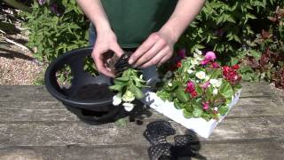 Easy fill Hanging Basket Planting Guide from gardenxtrascom [upl. by Lulu589]