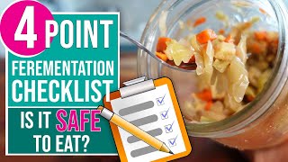 FERMENTATION CHECKLIST  4 Checks To Know If Your Ferment Is Safe To Eat [upl. by Australia334]