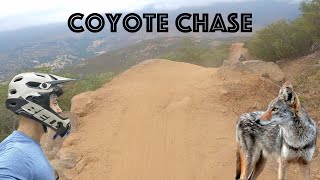 New Luiseno Bike Park Coyote Chase Mountain Bike San Diego [upl. by Canning]