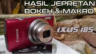 Hasil Jepretan Kamera Canon Ixus 185  Sampel Foto Bokeh dan Macro [upl. by Nojad]