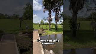 En Venta Finca Campestre en Restrepo Meta 🏡 Sector San Nicolás [upl. by Ynaffi]