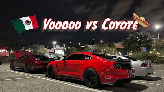 SHELBY GT350 vs BOOSTED COYOTE  ZL1 vs HELLCAT  TWIN TURBO GT350 AND MORE [upl. by Olnton]