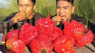 CAROLINA REAPER CHALLENGE  World Hottest Pepper [upl. by Azial]