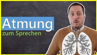 Sprechen und Stimme  Wie du Laute zum Sprechen produzierst [upl. by Hunsinger]