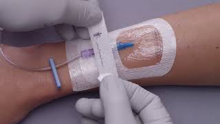 3M™ Tegaderm™ Antimicrobial IV Advanced Securement Dressing 9132 Application and Removal video [upl. by Sola]