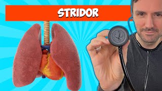 Stridor Lung Sounds For Beginners 🔥🔥🔥 lungsounds [upl. by Fanchon]