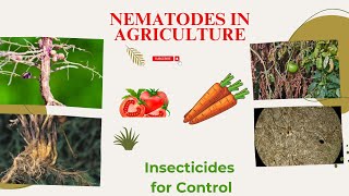 Nematodes in Agriculture Identifying Symptoms and insecticides for Control [upl. by Llemart]