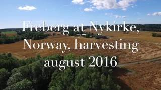 13 Harvesting at Freberg farm Norway [upl. by Browning]