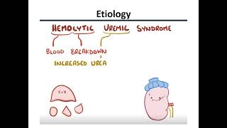 hemolytic uremic syndrome HUS [upl. by Retsev]