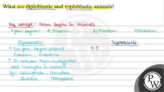 What are diploblastic and triploblastic animals [upl. by Pepe]