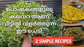 Microgreen Recipes in malayalam  Microgreen Recipe  Variety Recipe  Healthy Food Recipe [upl. by Xeno81]