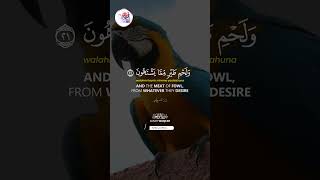 Surah AlWaqiah الواقعة‎ The Inevitable ✦ Beautiful Recitation With English Translation ✦ Quran FM [upl. by Shelagh]