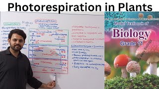 Photorespiration  Clas 11  Bioenergetics  FBISE  NBF [upl. by Lesser430]