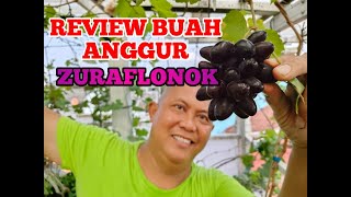 REVIEW BUAH ANGGUR VARIETAS ZURAFLONOK amp KUPIDON ZURAFLONOK tipsandtricks review kaij kupidon [upl. by Tama]