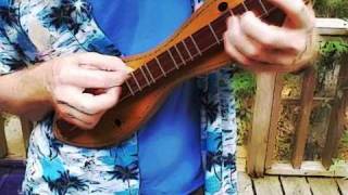 David Beede octave dulcimer cover of quotSpoon Riverquot plus lesson [upl. by Alliber]