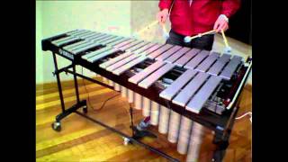 Vibraphone Techniques [upl. by Frederich646]