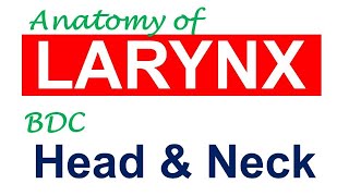 Chp16  Anatomy of LARYNX  Head amp Neck Anatomy  BDC Vol3  Dr Asif Lectures [upl. by Eidde]