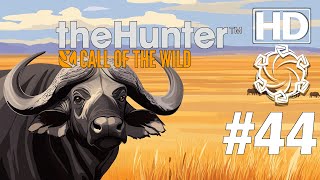 theHunter Call of the Wild mit Joshu Lets Play 44 quotZweimal Goldquot HD PC [upl. by Munafo708]