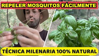 Como REPELER Mosquitos En 1 MINUTO🦟 Técnica de Supervivencia [upl. by Solita329]