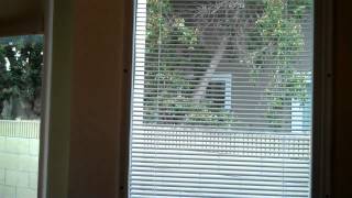 How to Install Internal Blinds over existing door windows [upl. by Woodring]