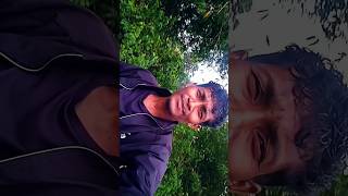 MEARE AYNOM NEW SANTHALI SONG SHORT VIDEO 2024 virel LOVESONG rajusoren ytshorts trending [upl. by Hanauq]