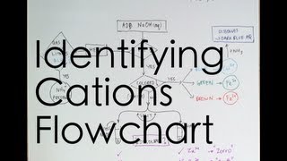 Flowchart for Identifying Cations [upl. by Gytle]