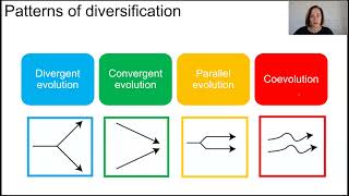 Patterns of evolution [upl. by Ahsoet]