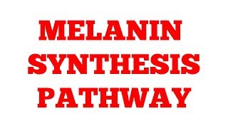 Melanin synthesis pathway  Phenylalanine Metabolism  Part2  Biochemistry [upl. by Sergei861]