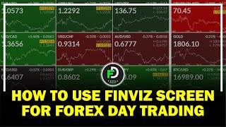 how to use finviz for day trading forex  Best Screener For Forex amp Crypto Trader [upl. by Iaw]