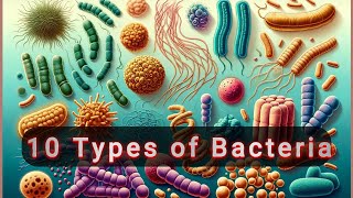 10 types of Bacteria [upl. by Kipper]