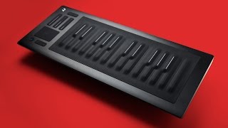 Roli Seaboard Rise Review  Music Instrument From The Future [upl. by Atinwahs]