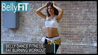 Belly Dance Fitness Calorie Burn Extreme  Shimmy Challenge [upl. by Salangi]