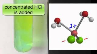 Metal complexes 12 Reversible ligand substitution with CuCl2 [upl. by Newmark563]