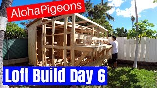 Homing Racing Pigeon Loft Construction Day 6 [upl. by Rufena377]