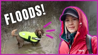 December downpours while travelling in my MICRO CARAVAN 🌧️  GoPod  VLOG 4 [upl. by Akimahs]