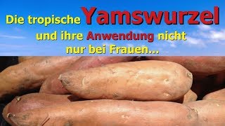 Die tropische Yamswurzel und ihre Anwendung nicht nur bei Frauen [upl. by Noj560]